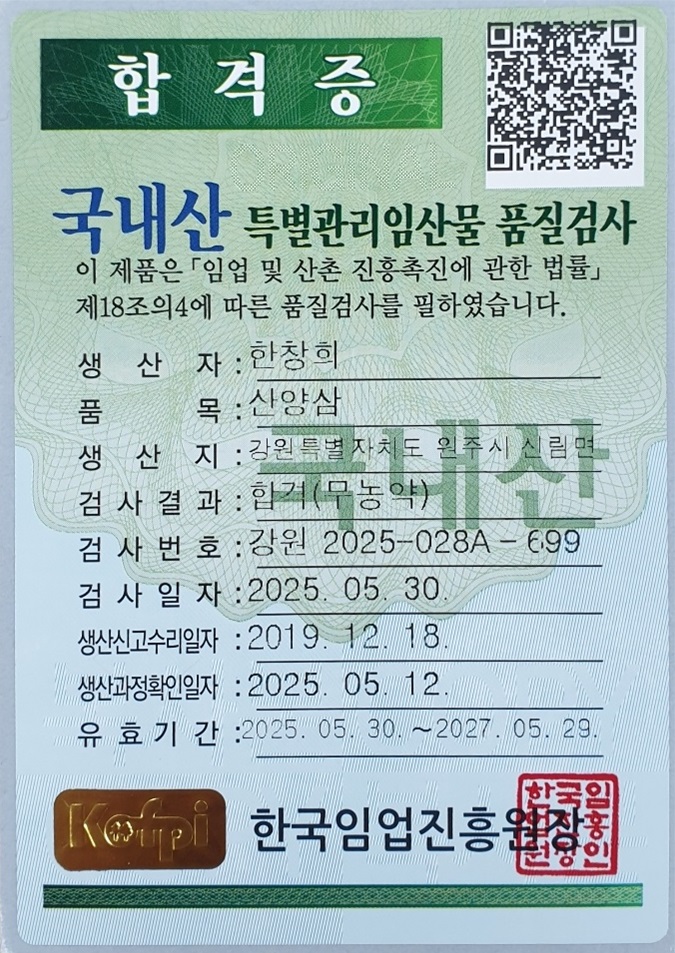 1200.jpg